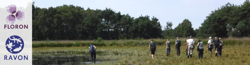 Vrijwilligers in het veld